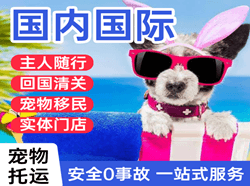 凤凰航空物流国际宠物托运 【国